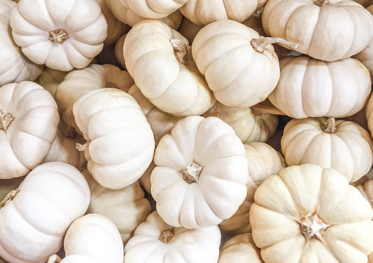 Your Fall Activity Check List