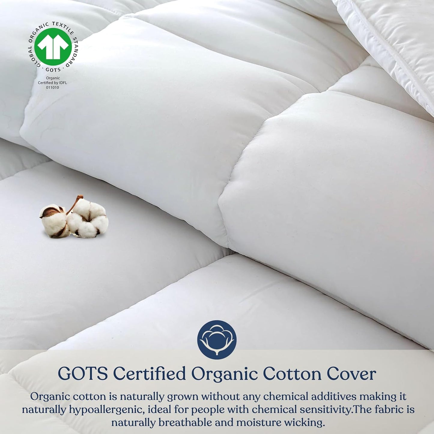 Delara Down Alternative Duvet Insert, GOTS Certified, Organic Cotton Cover, Hypoallergenic, 350 GSM All-Season