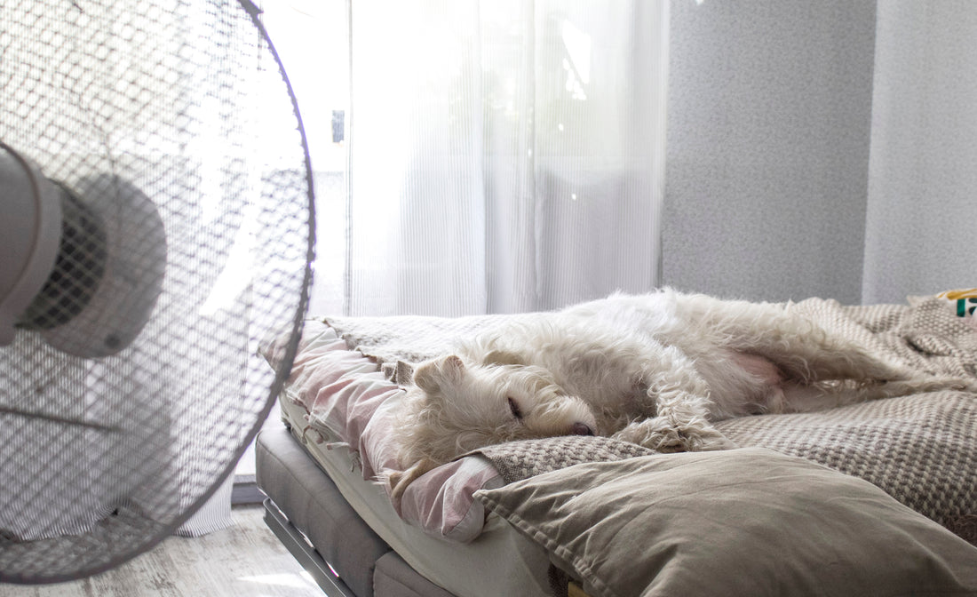 How to Sleep Comfortably on Hot Summer Nights